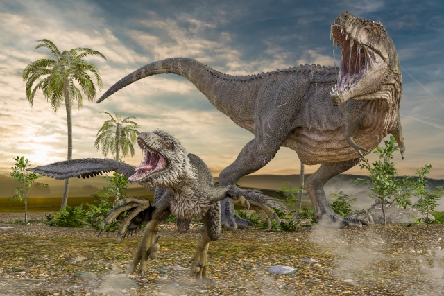 絶滅した恐竜の特徴や分類について学ぶ